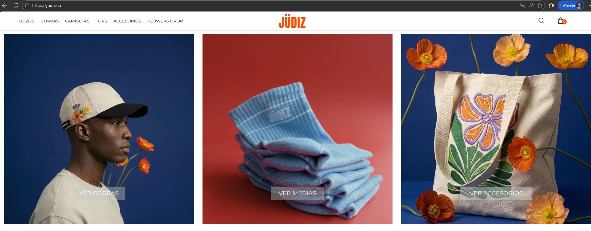 Vista del ecommerce Judiz